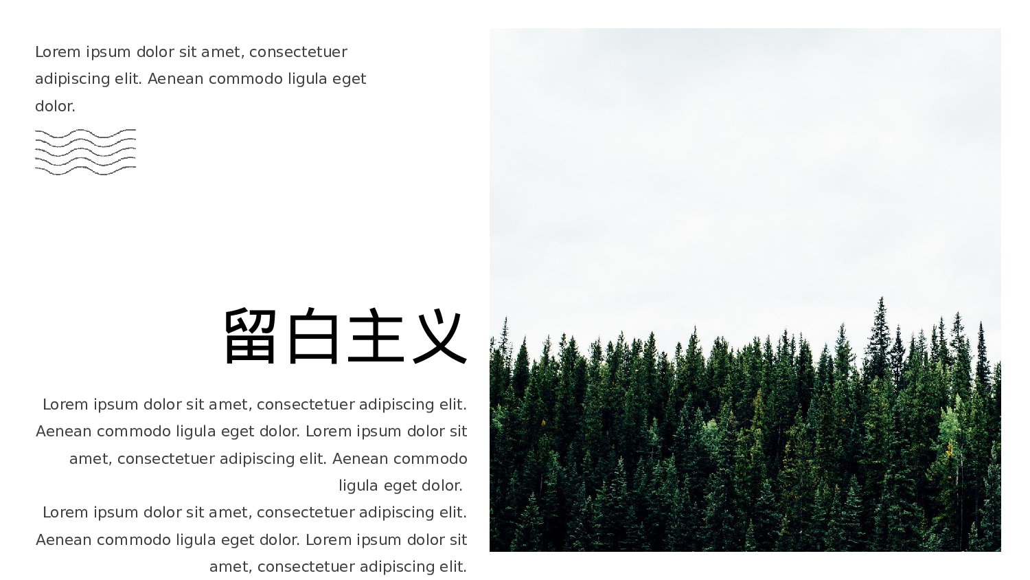 清新北欧风 (23).pptx 第3页