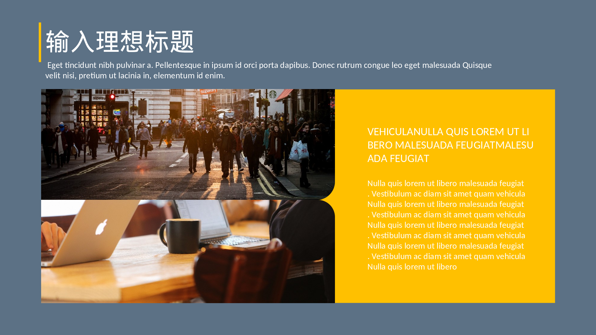 求职类PPT模板 (9).ppt 第5页