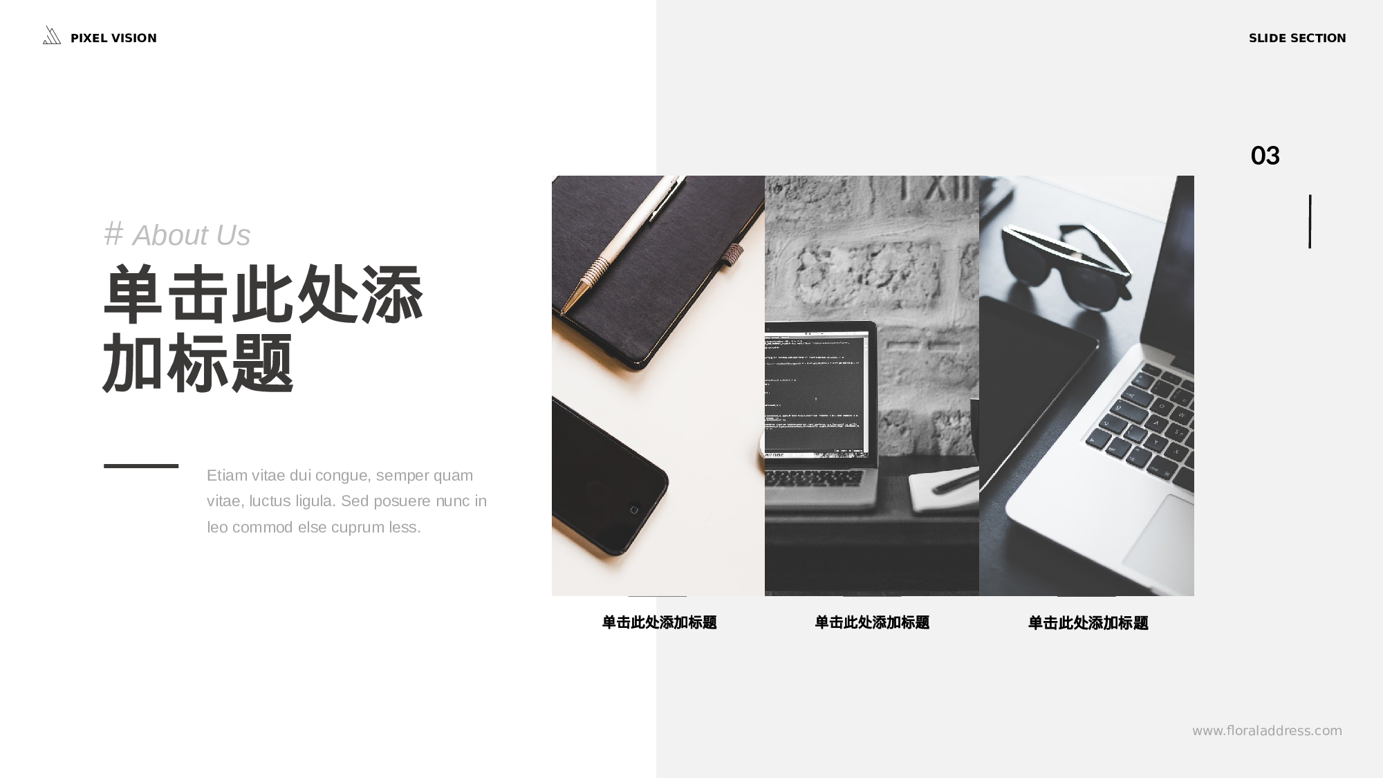 欧美商务(26)27.pptx 第3页