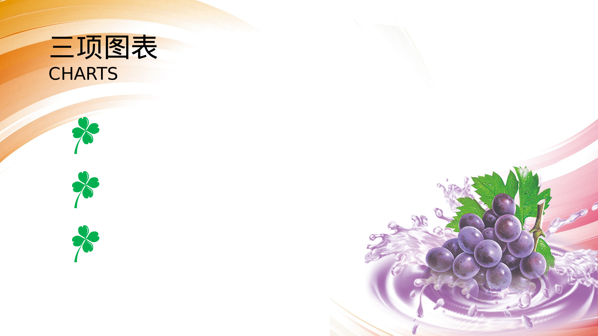 多彩公司汇报.pptx 第5页