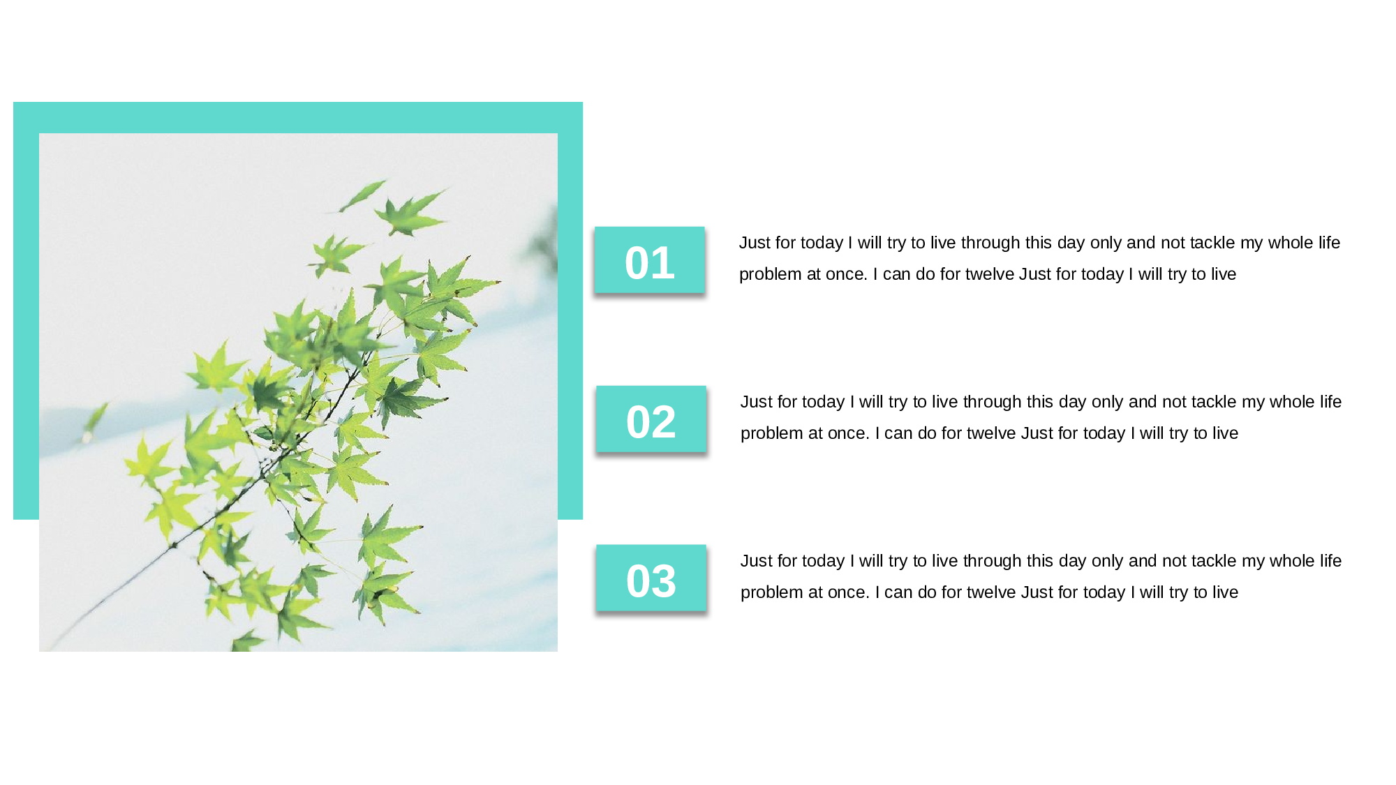 清新北欧风 (45).pptx 第4页