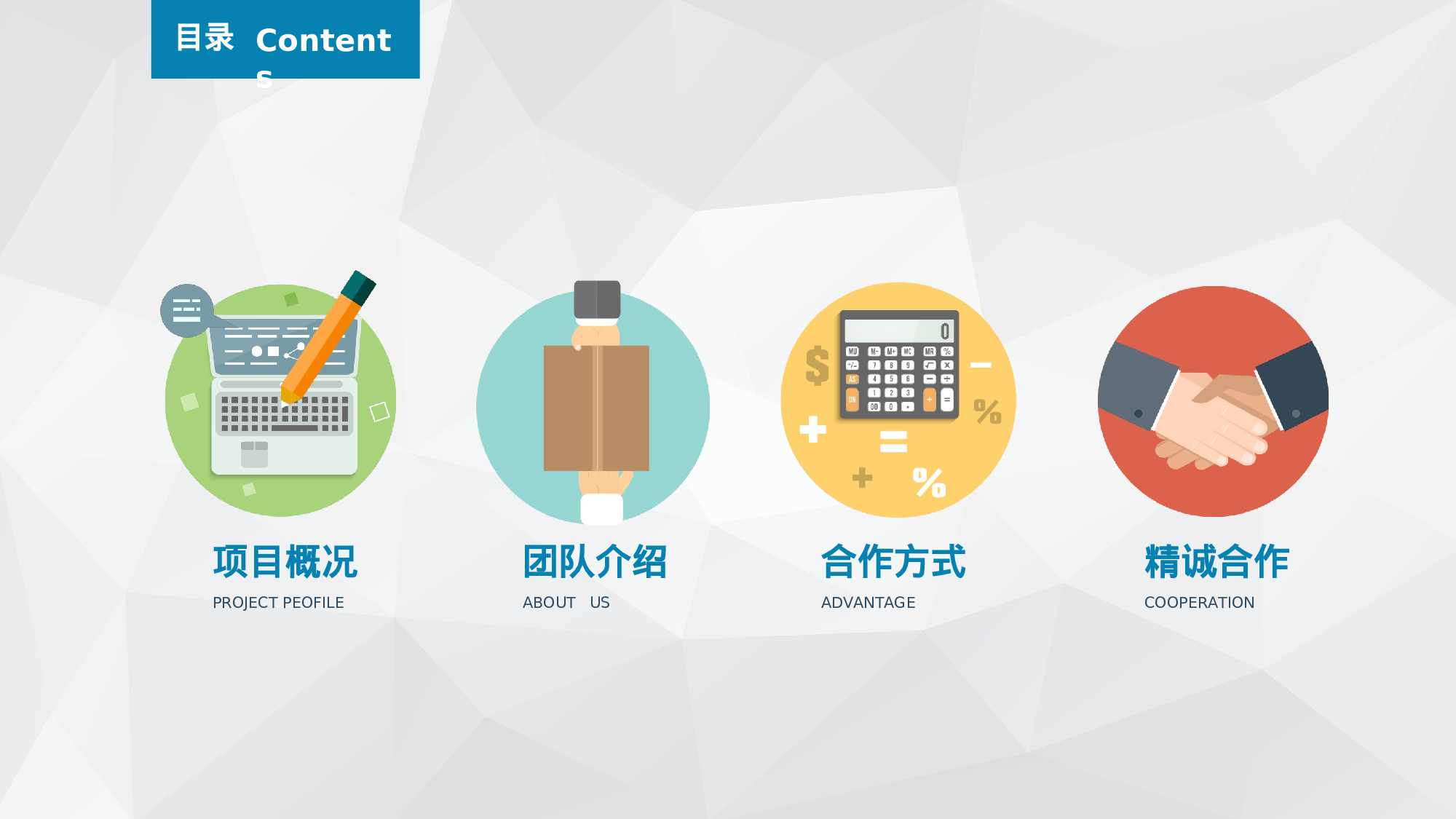 商业创业计划书0829.ppt 第2页