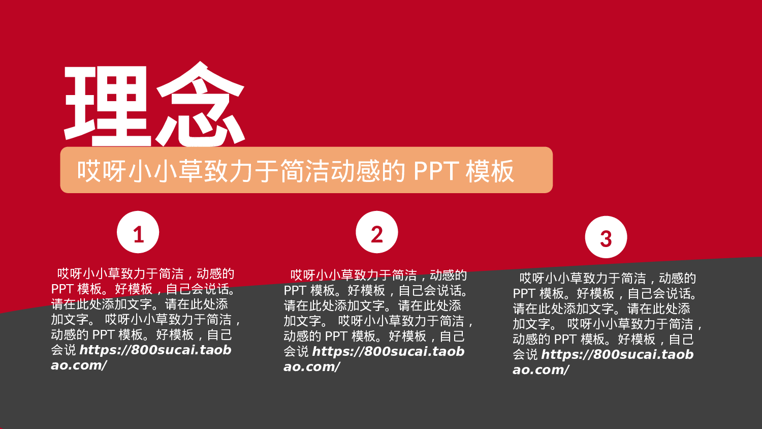 商业创业计划书173.ppt 第5页