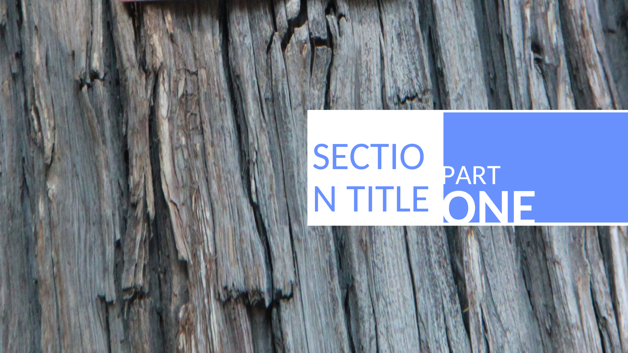 017灰色展示.ppt 第3页