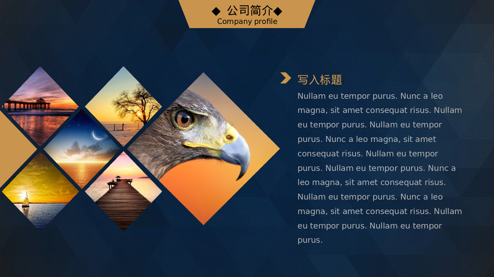 商业创业计划书195.ppt 第5页