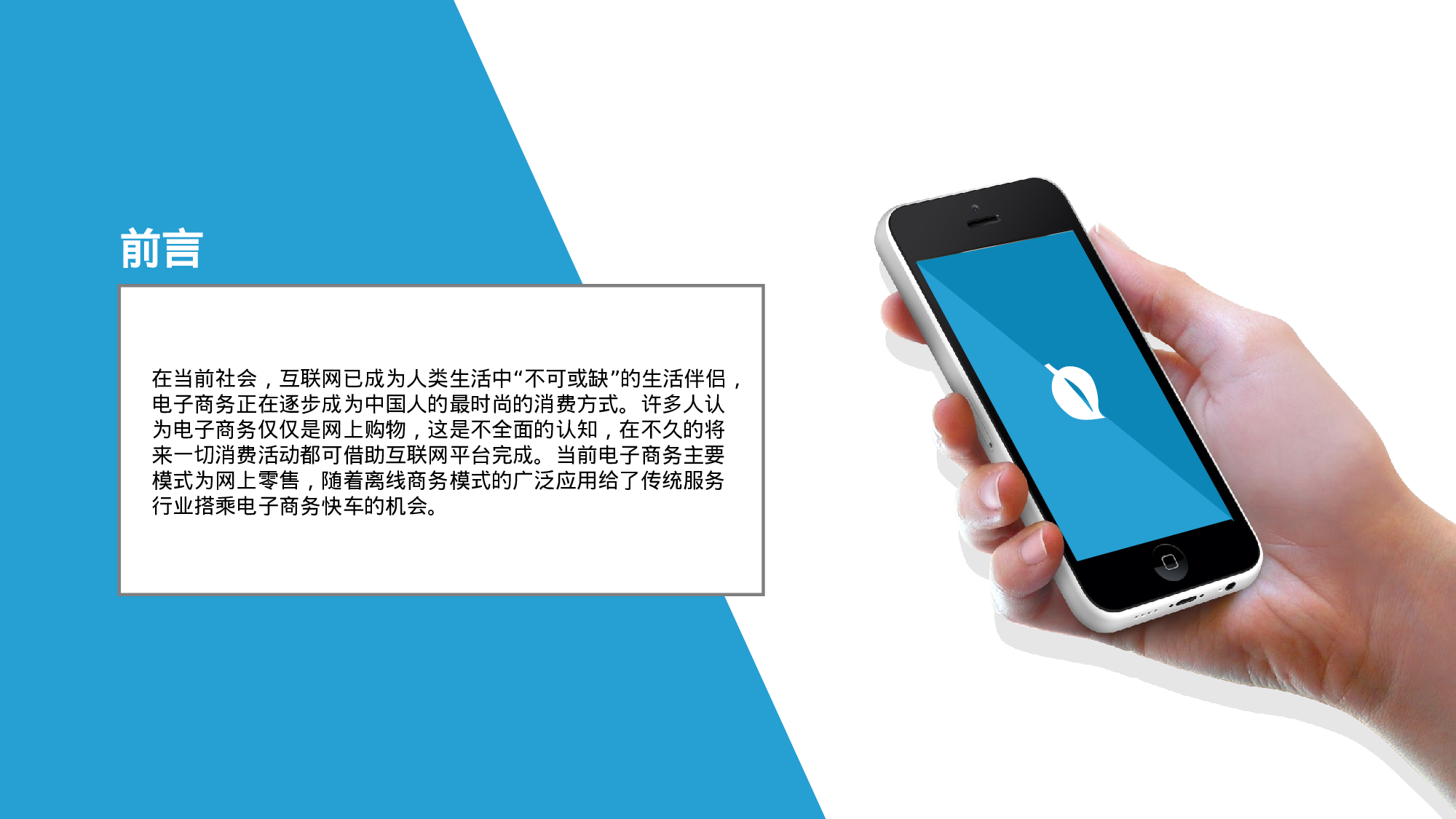 商业创业计划书217.ppt 第4页