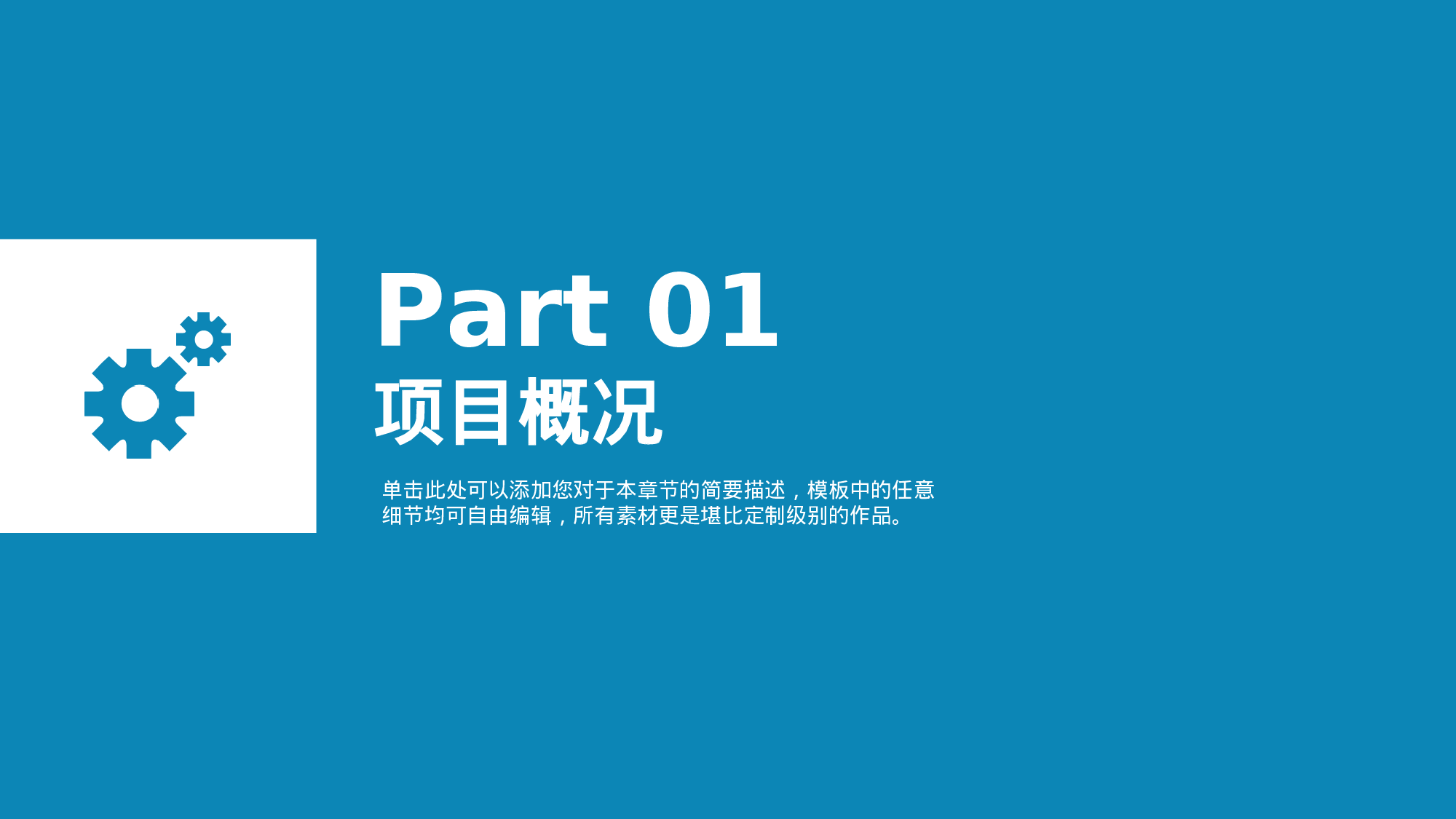 商业创业计划书217.ppt 第5页