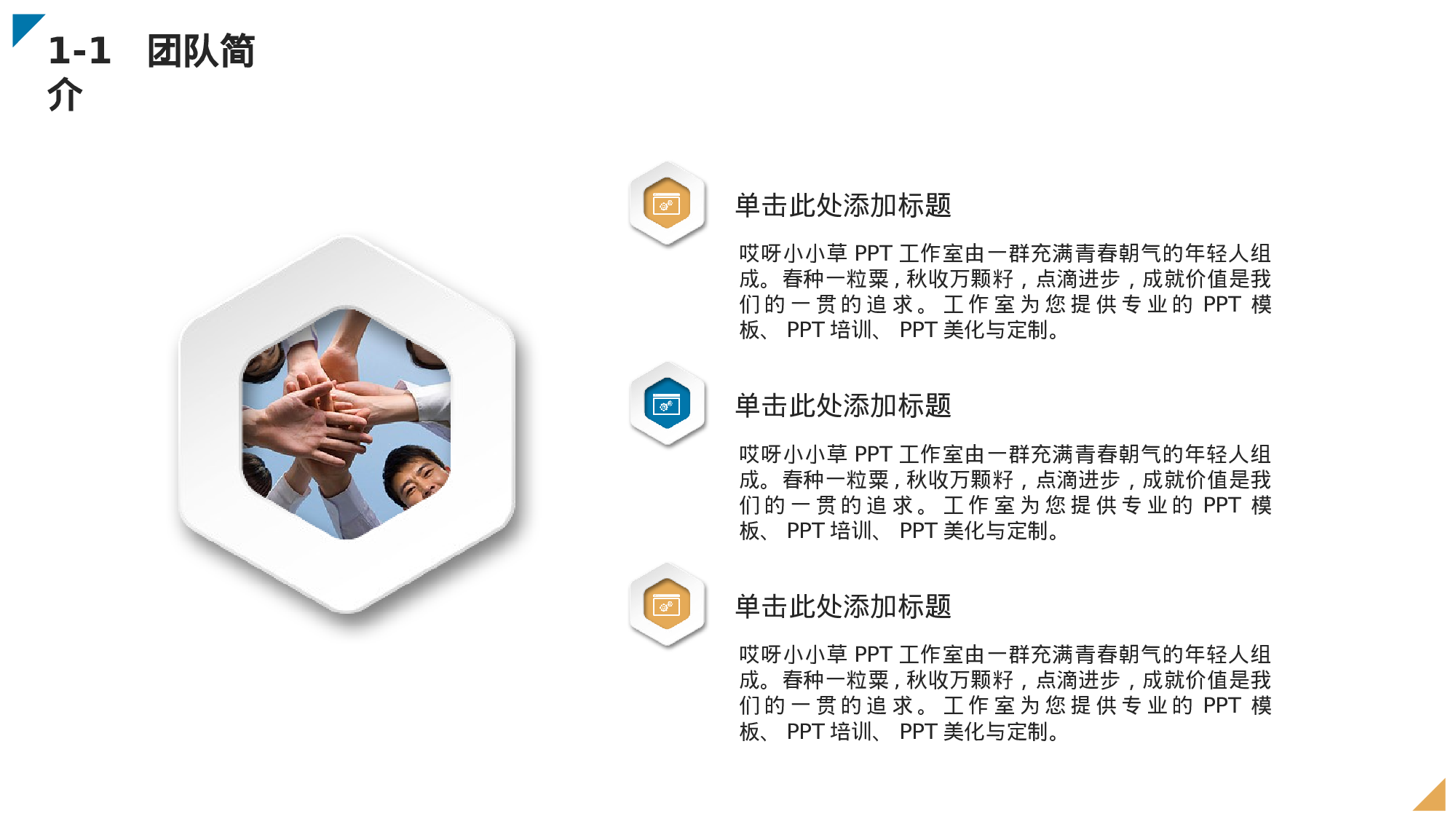 商业创业计划书228.ppt 第4页