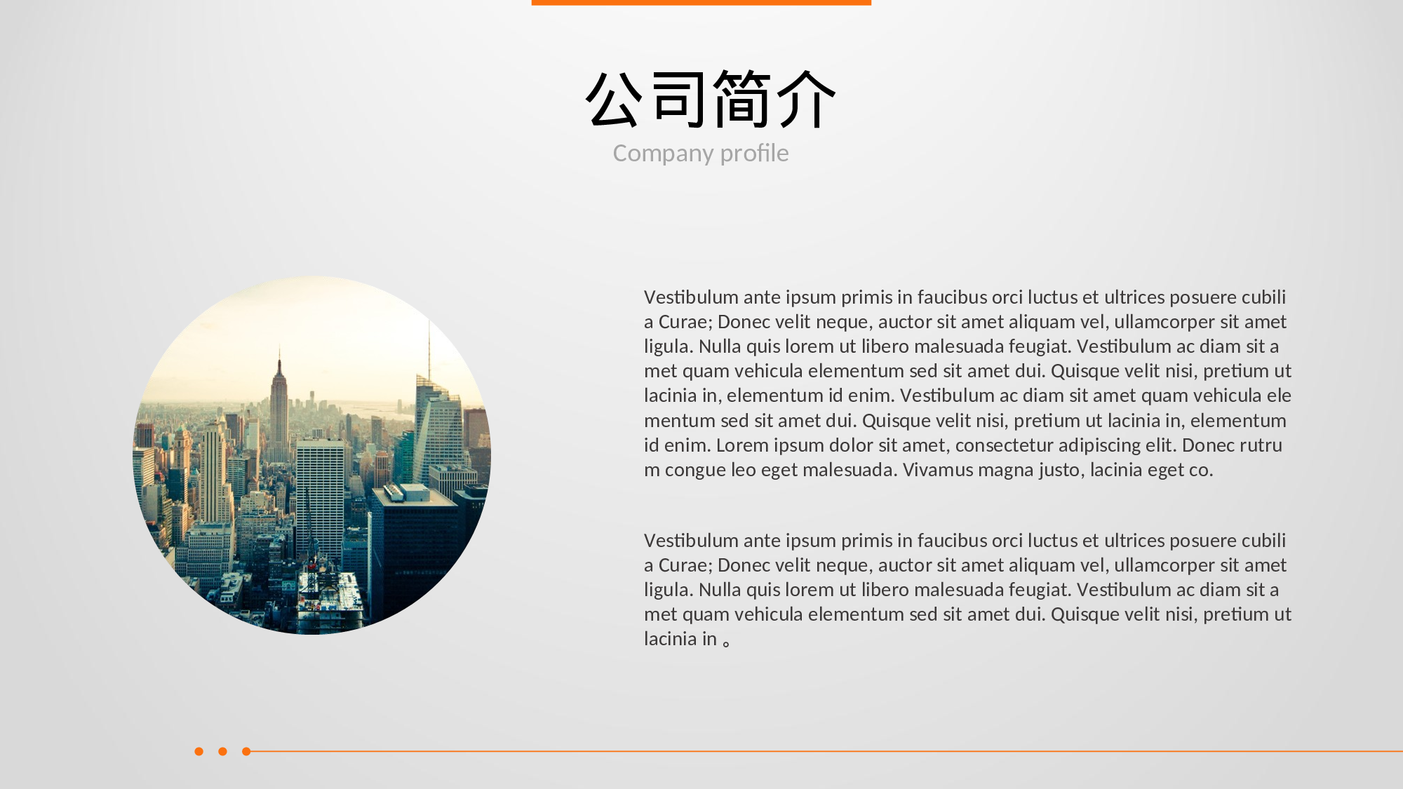 商业创业计划书2814.ppt 第4页