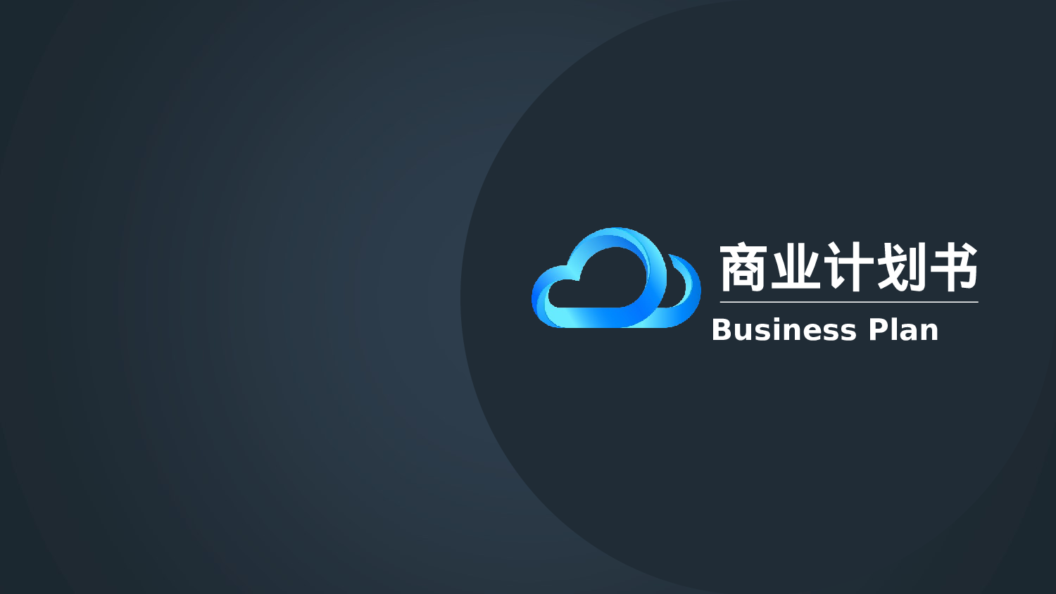 商业创业计划书2915.ppt 第1页