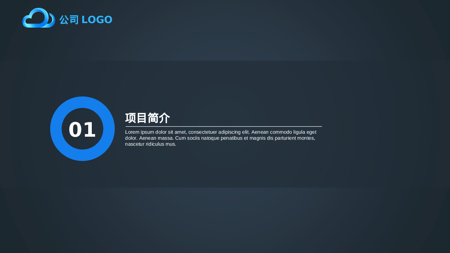 商业创业计划书2915.ppt 第3页