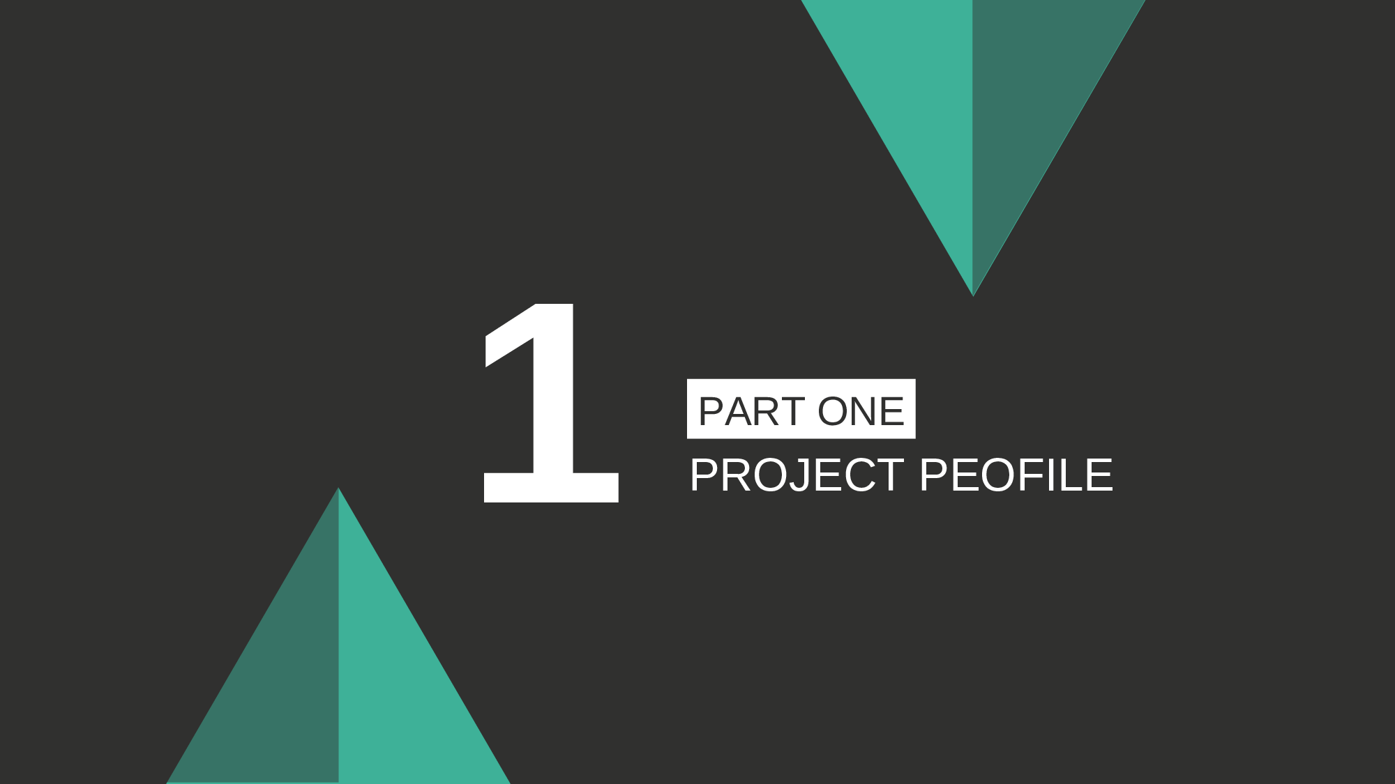 商业策划PPT模板 (12).ppt 第3页