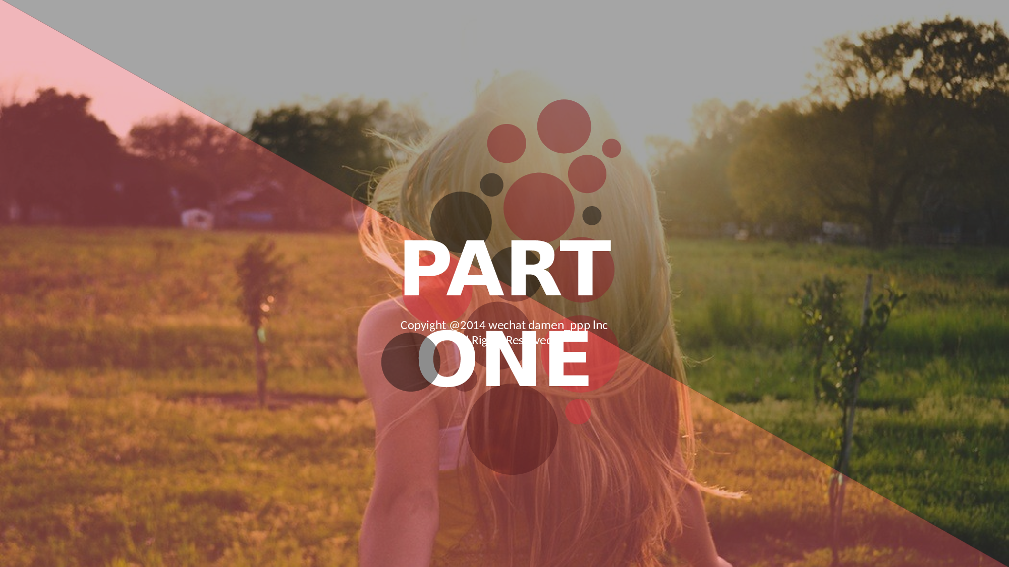 044欧美简约红.pptx 第3页