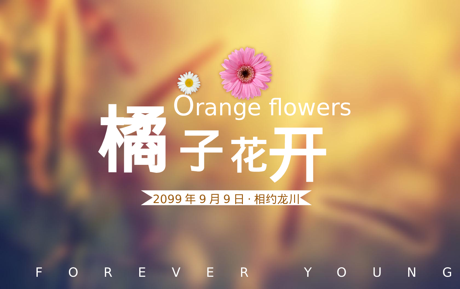 唯美青春毕业季同学聚会ppt视频模版.pptx 第1页