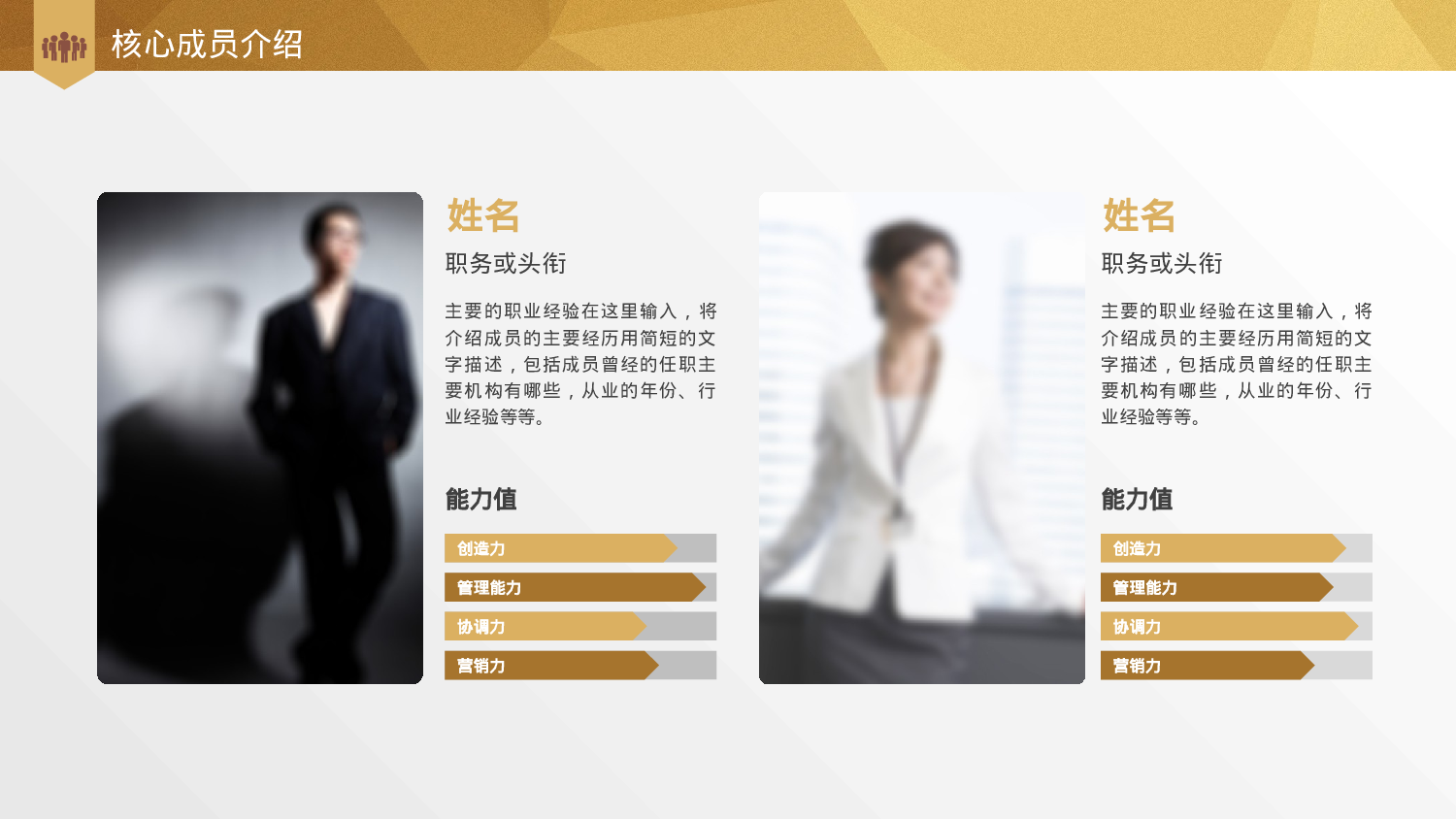 商业策划PPT模板 (28).pptx 第6页