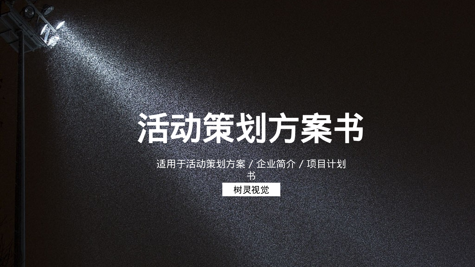 商业策划PPT模板 (31).pptx 第1页