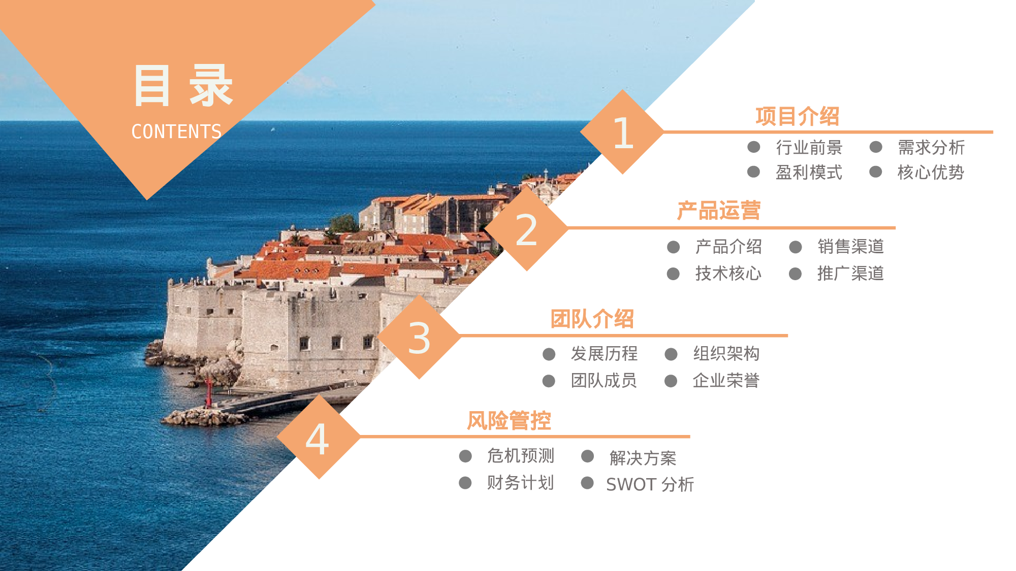 商业计划02.pptx 第2页