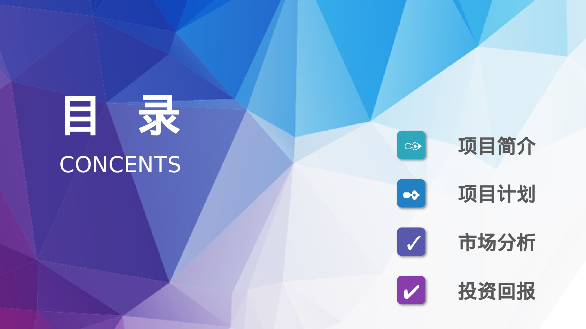 商业计划11.pptx 第2页