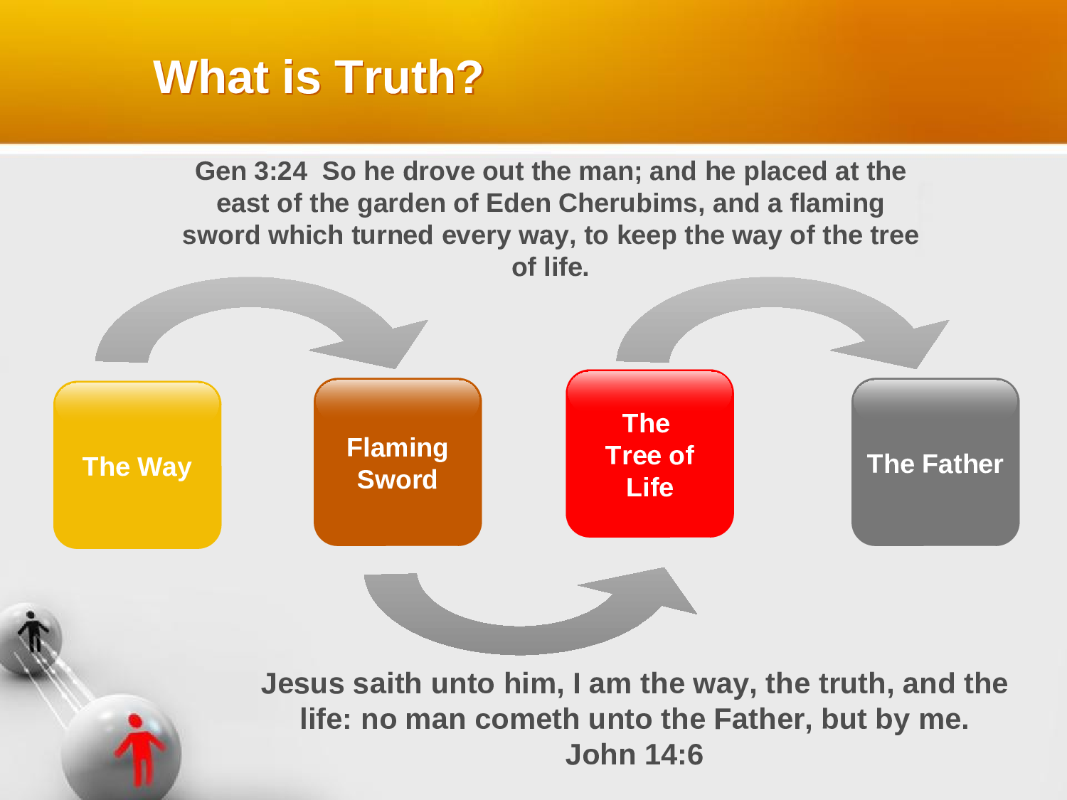 business-ppt-template-001.ppt 第3页