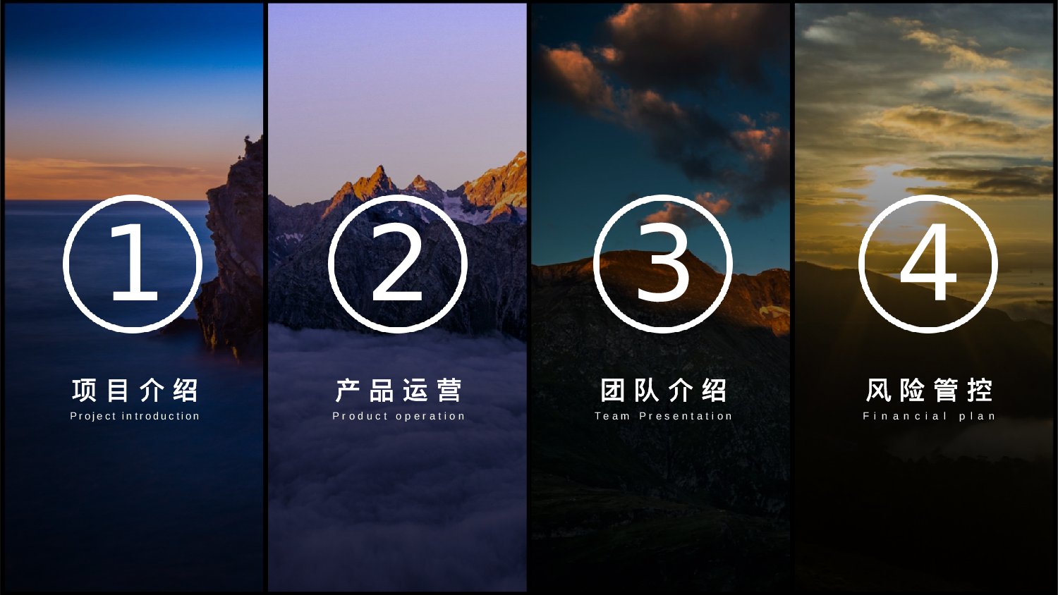 商业计划30.pptx 第2页