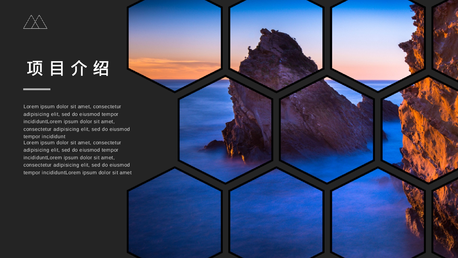 商业计划30.pptx 第4页