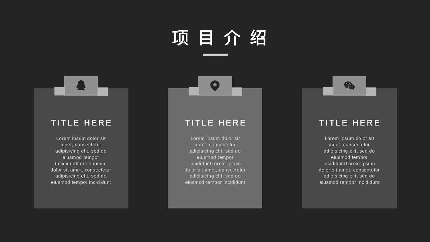 商业计划30.pptx 第6页