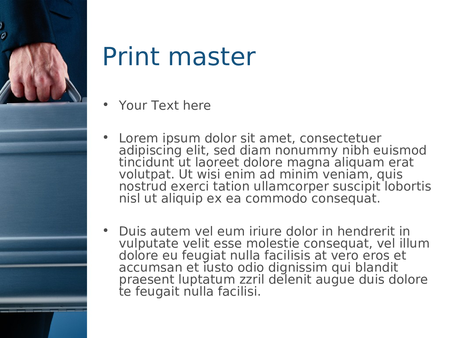 business-ppt-template-048.ppt 第3页