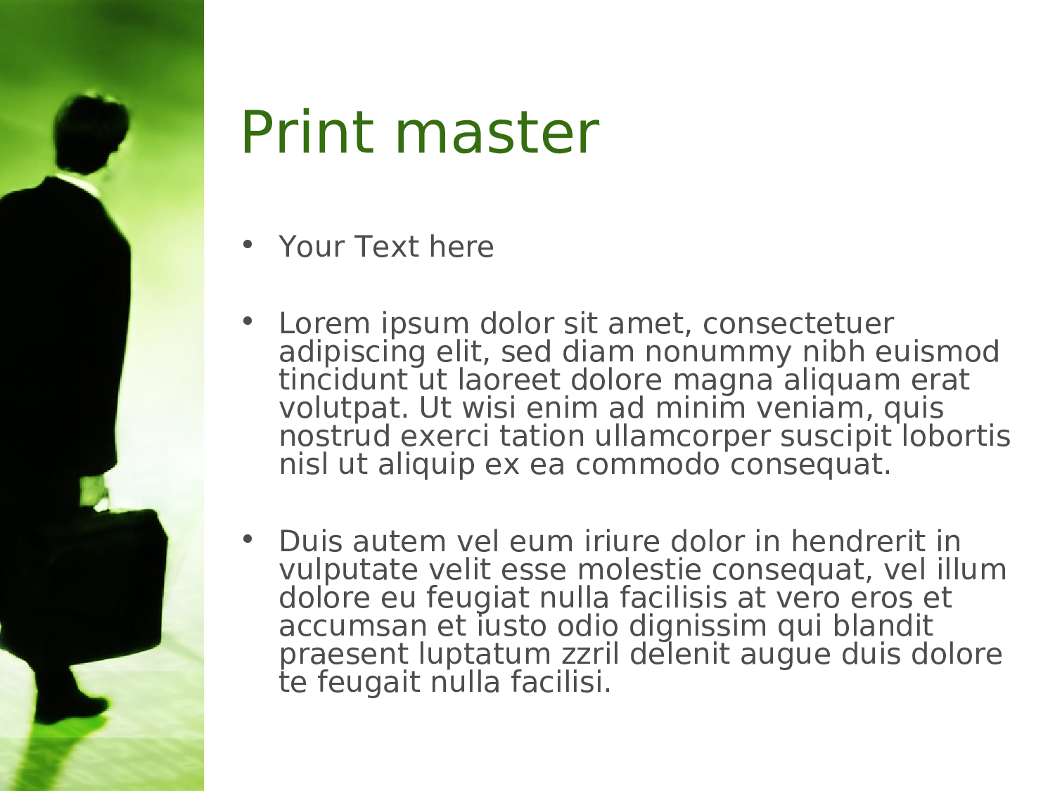 business-ppt-template-050.ppt 第3页