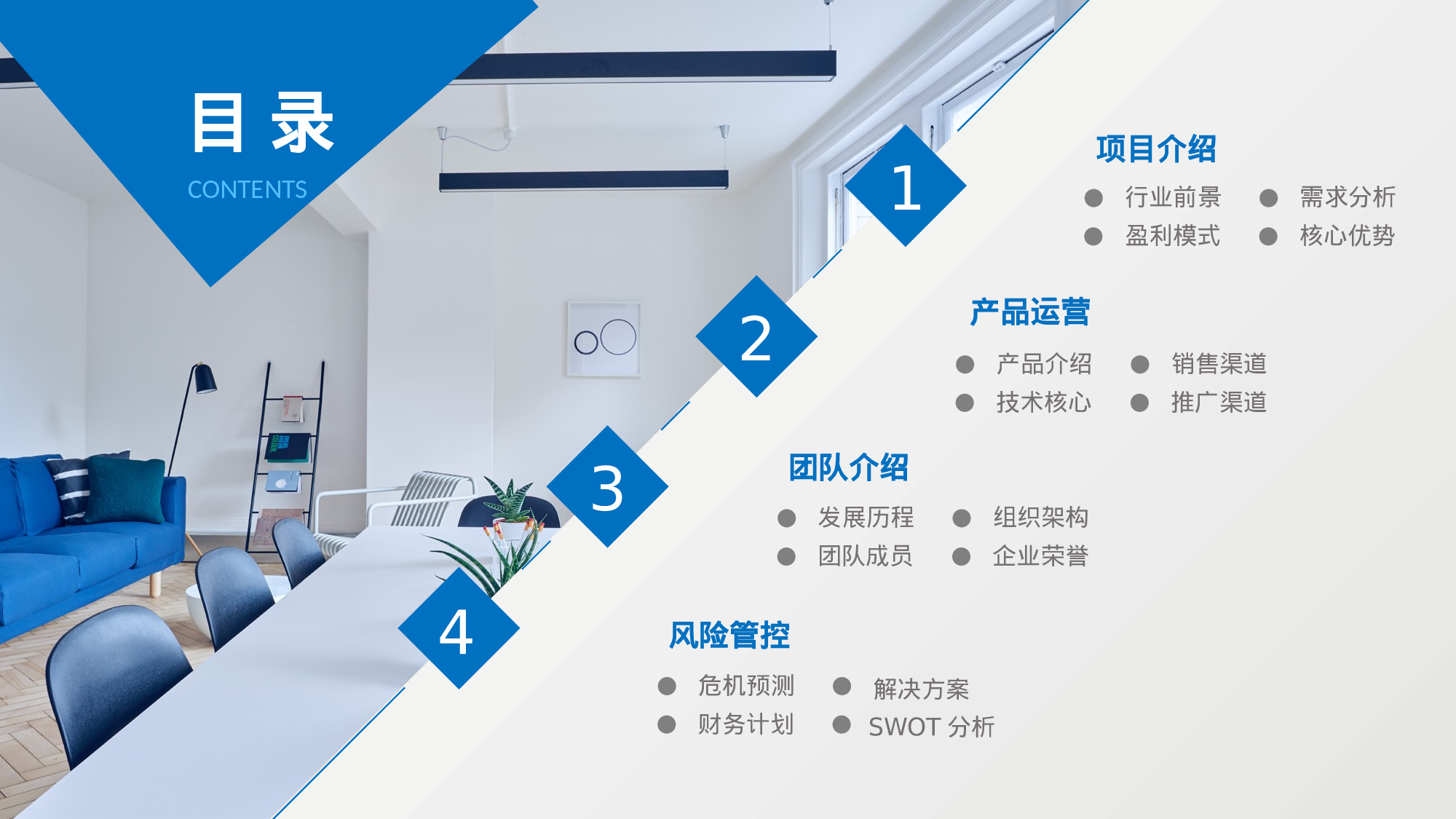 商业计划44.pptx 第2页