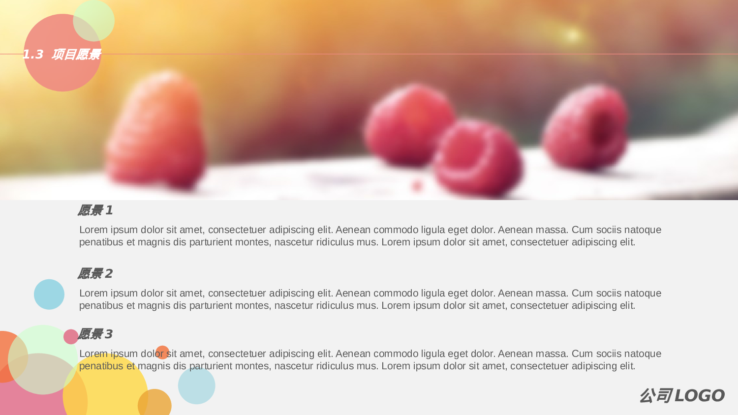 商业计划书模板01114.pptx 第5页