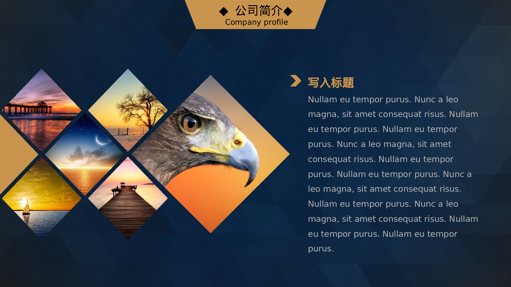 商业计划书模板01922.pptx 第5页