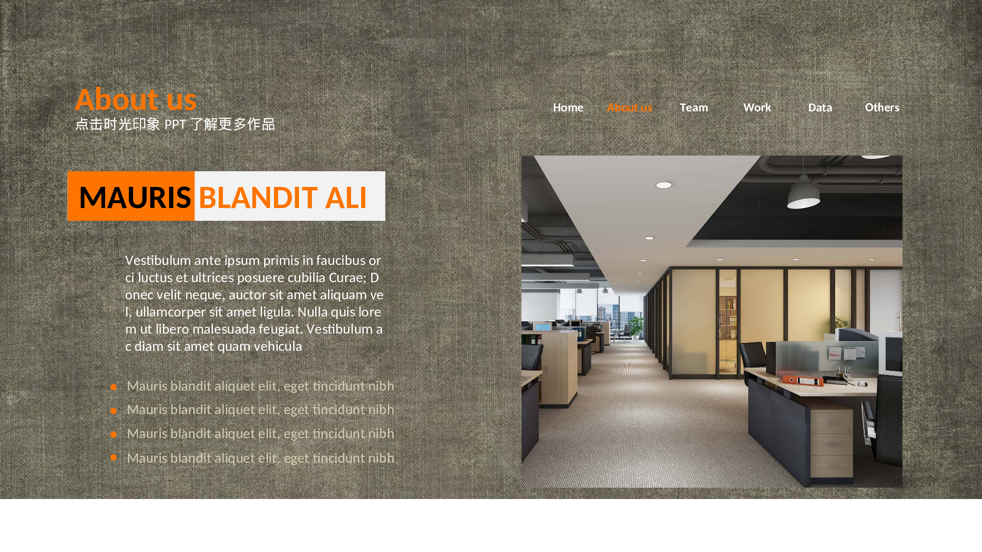 商务PPT模板 (37).ppt 第6页