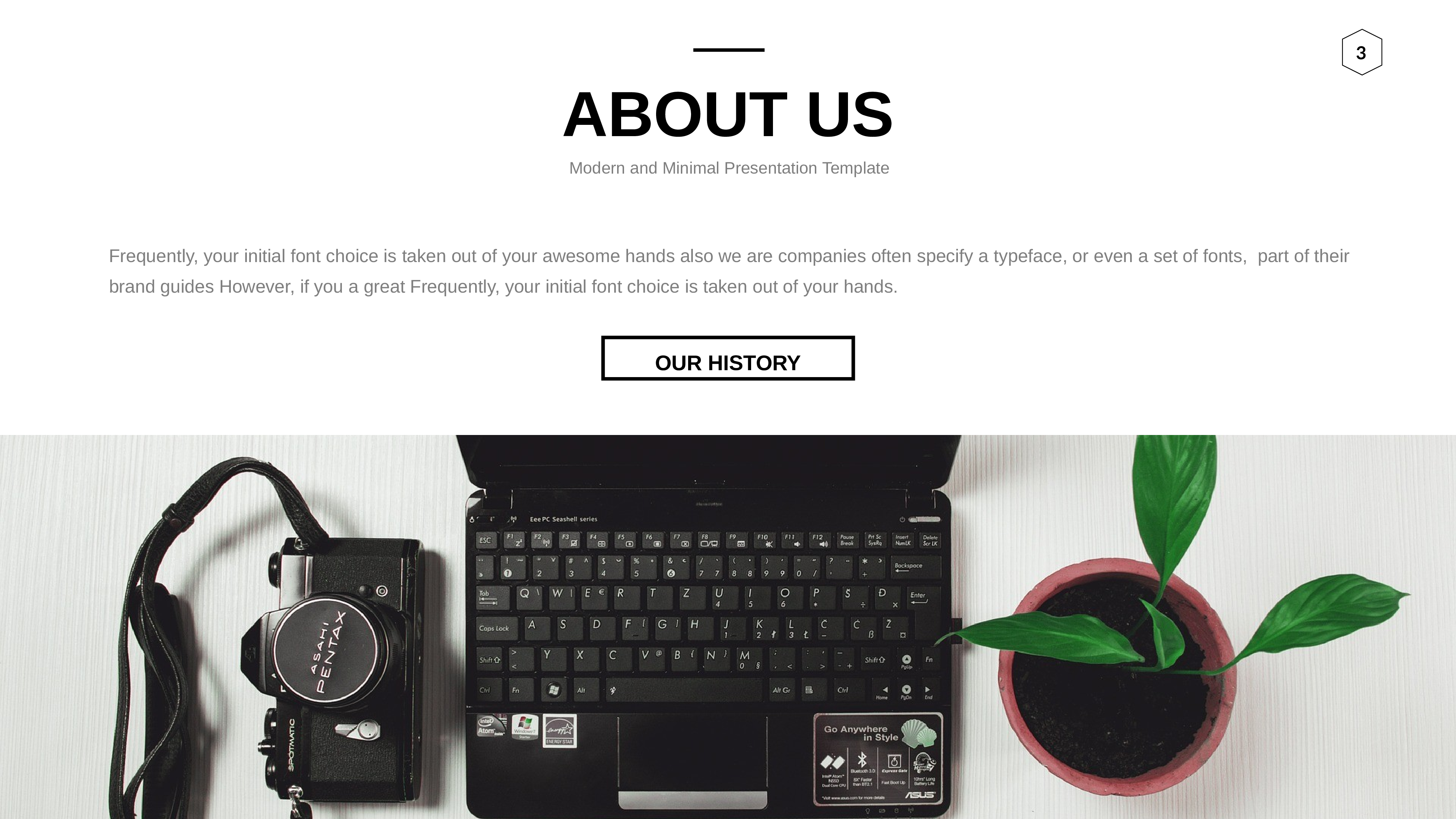 欧美商务(28)29.pptx 第3页