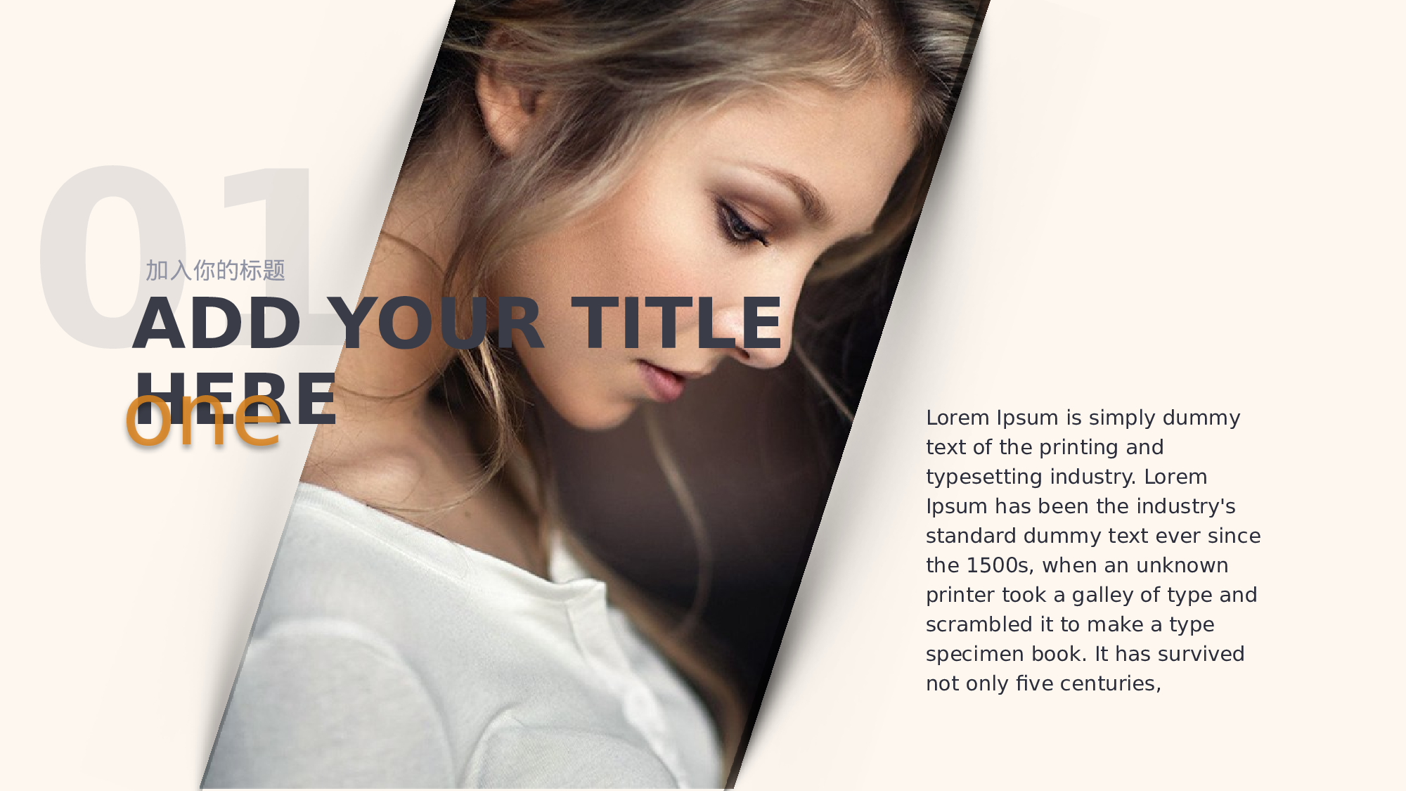 欧美风格(7).pptx 第3页