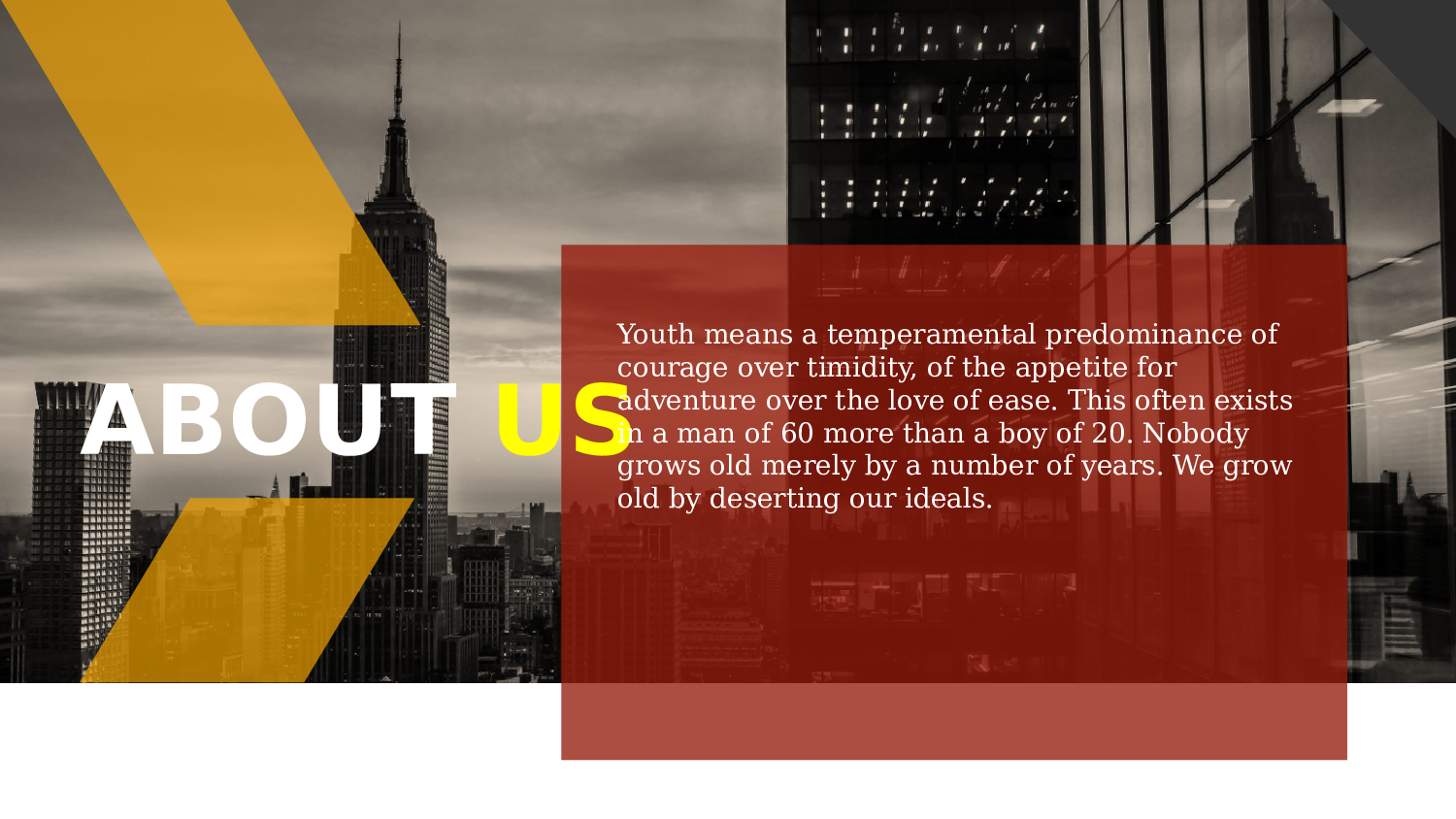 欧美高端 (1).pptx 第2页