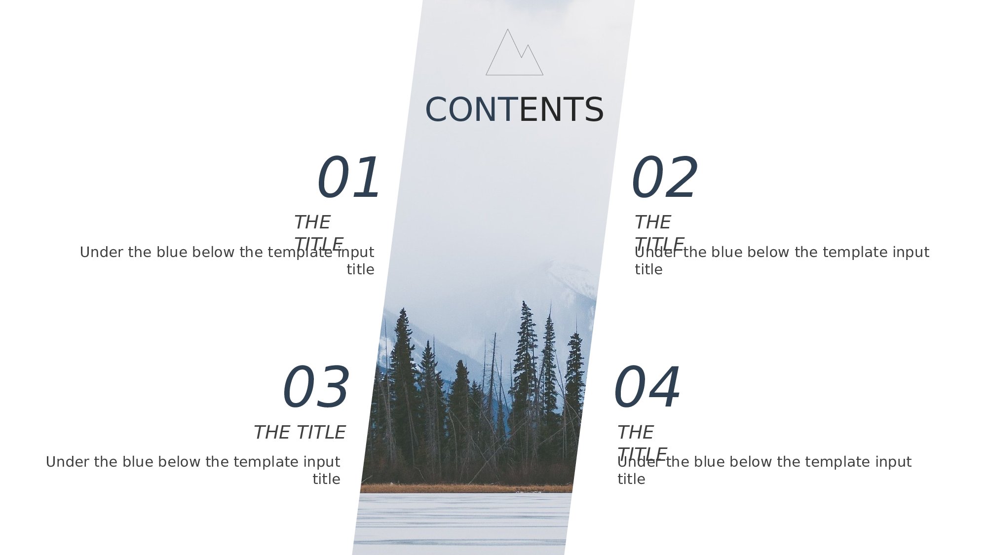 欧美高端 (5).pptx 第2页