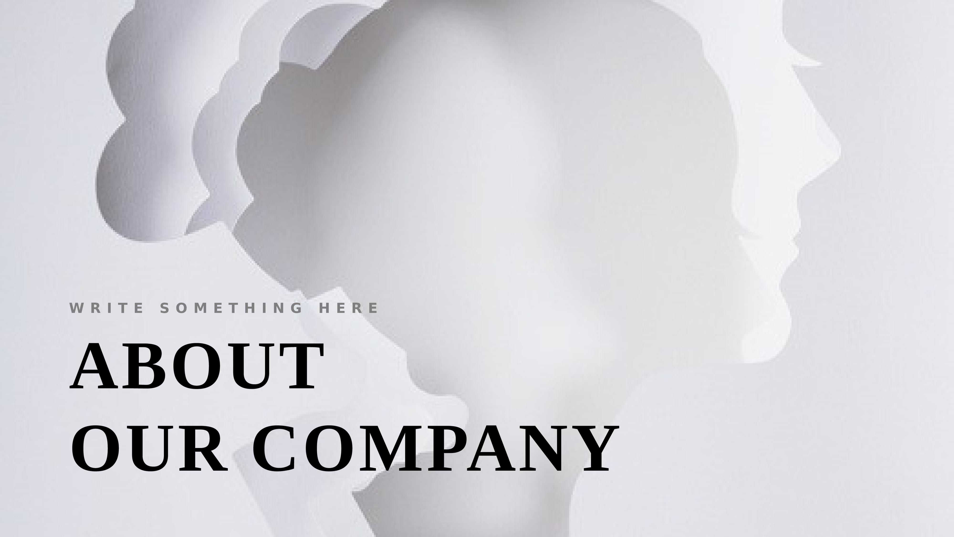 欧美高级脸11.pptx 第2页