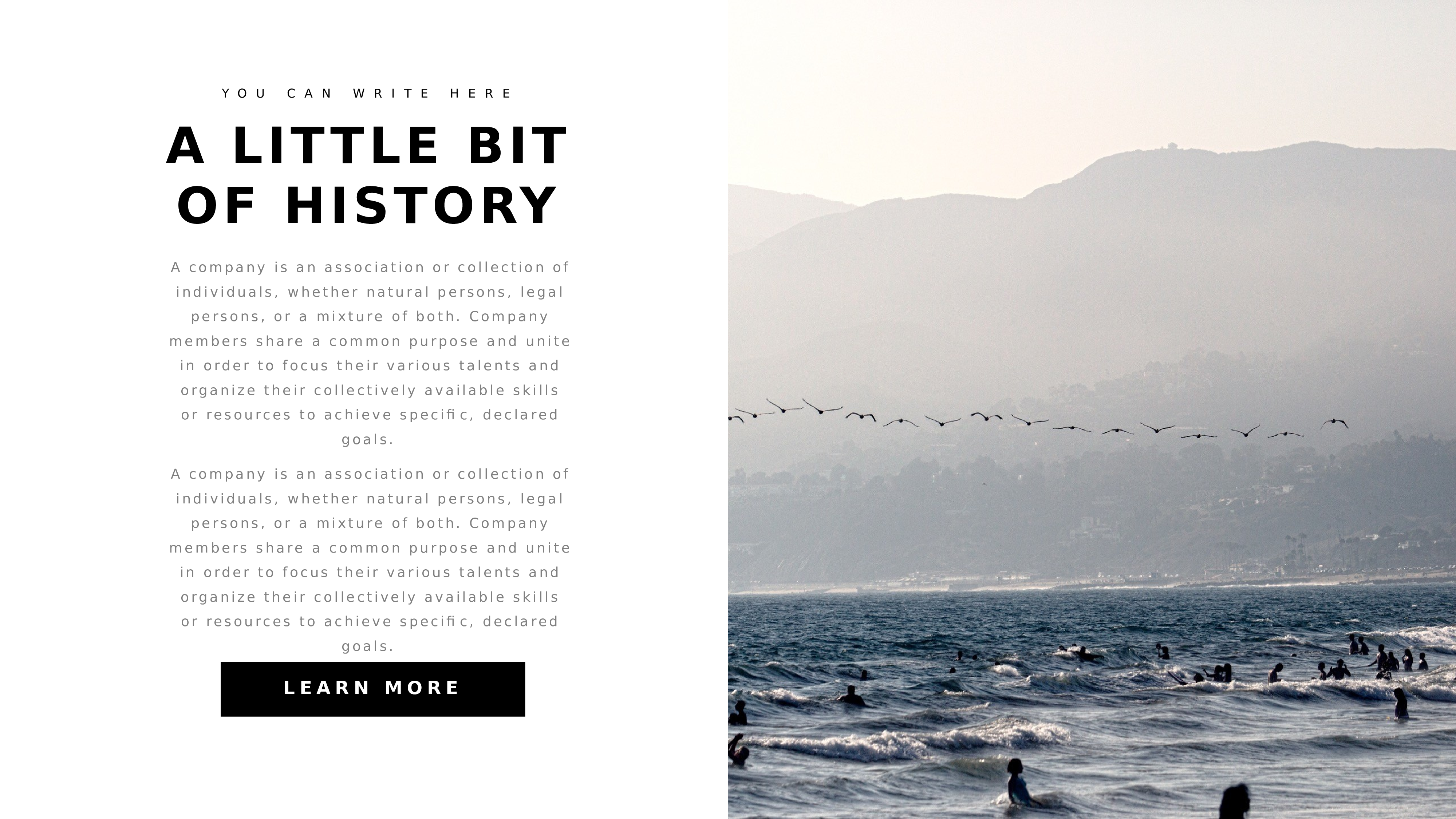 欧美高级脸1111.pptx 第2页