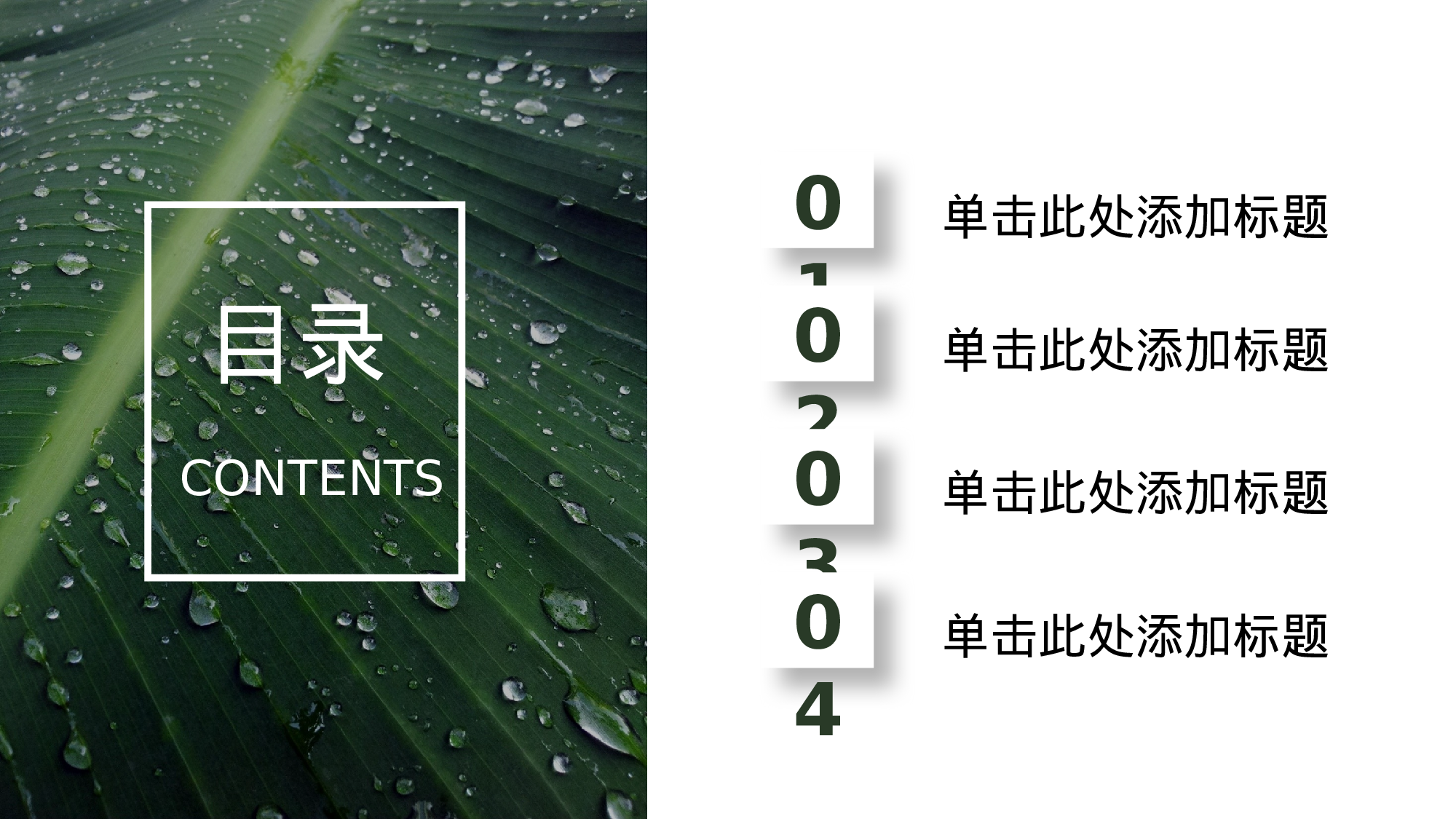 清新北欧风 (13).pptx 第2页