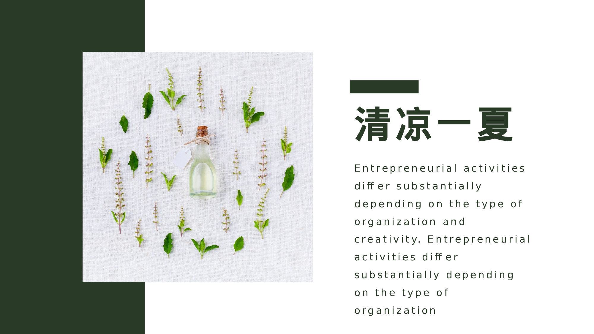 清新北欧风 (13).pptx 第6页