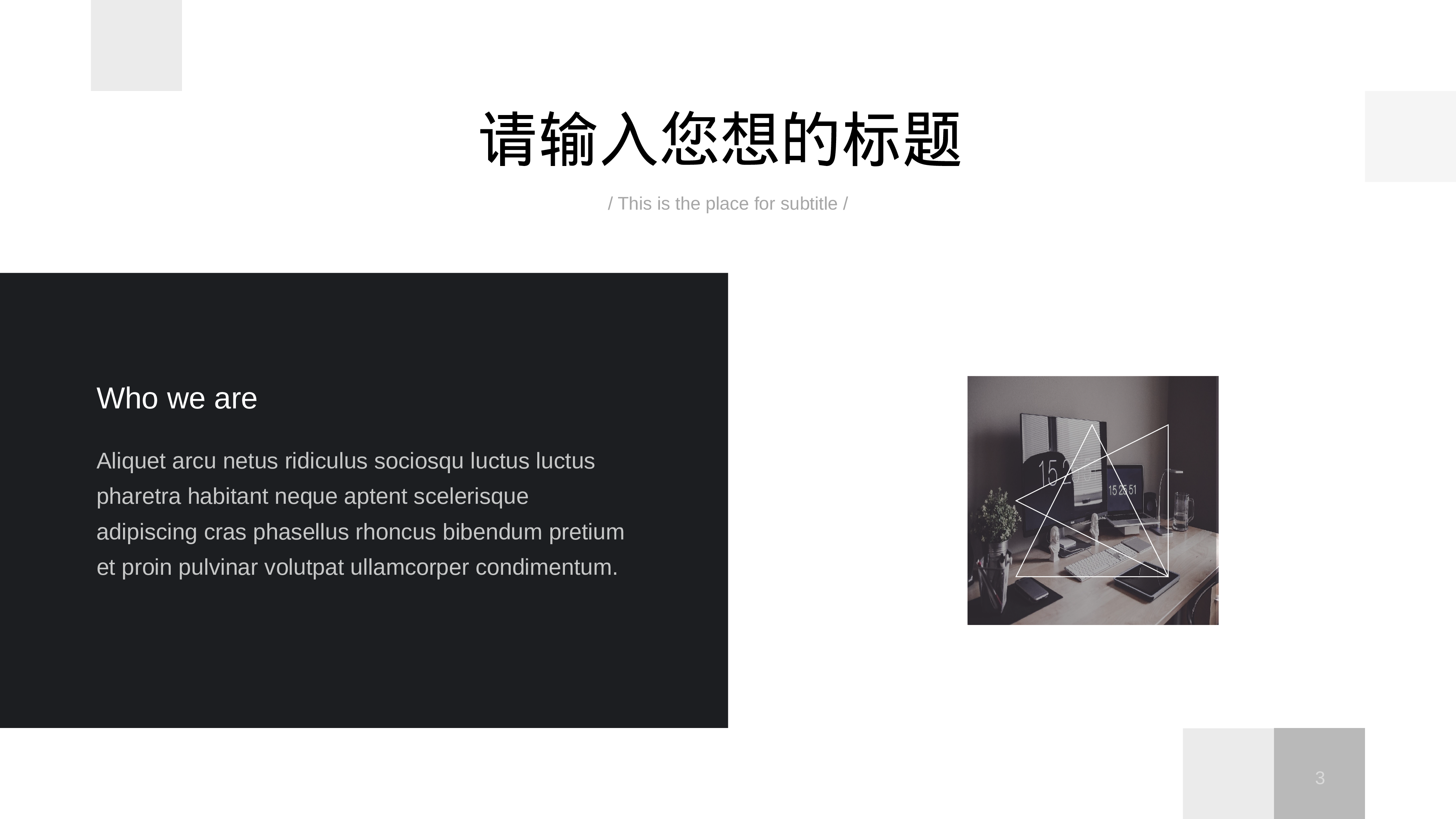 欧美商务(21)22.pptx 第3页