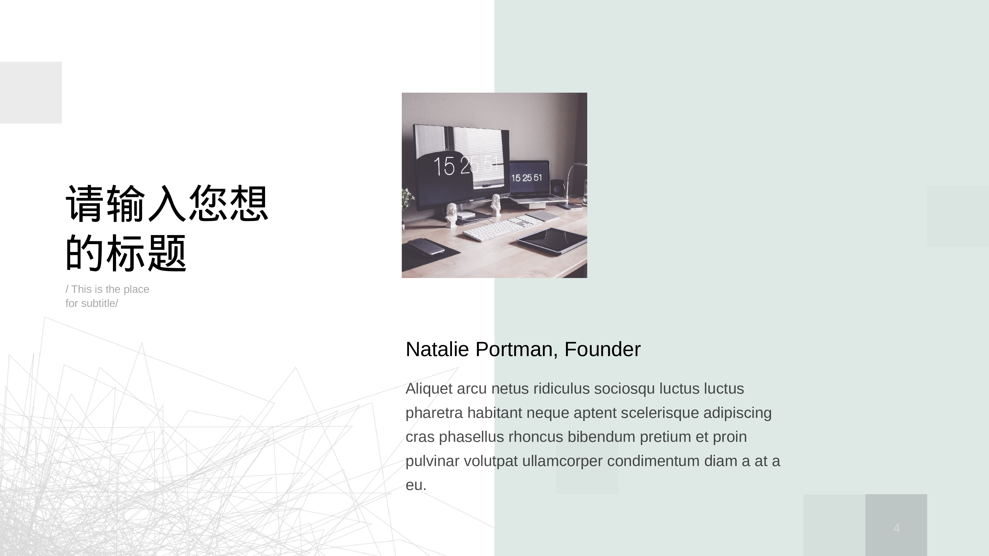 欧美商务(21)22.pptx 第4页