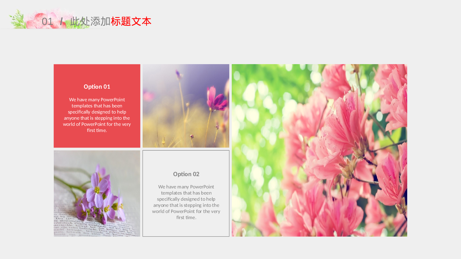 文艺花卉 (7).pptx 第4页