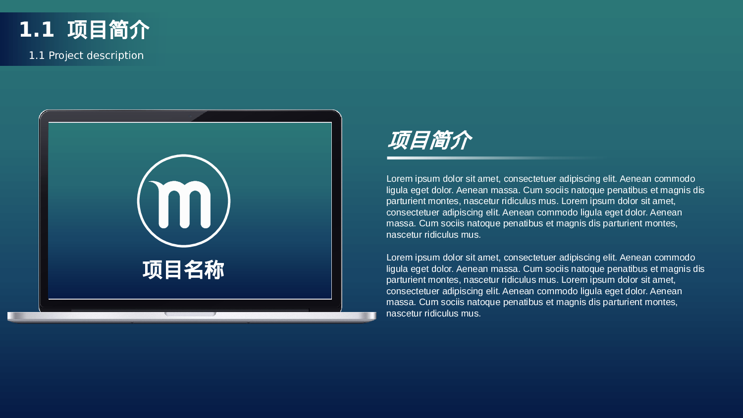 文艺高逼格30.pptx 第4页