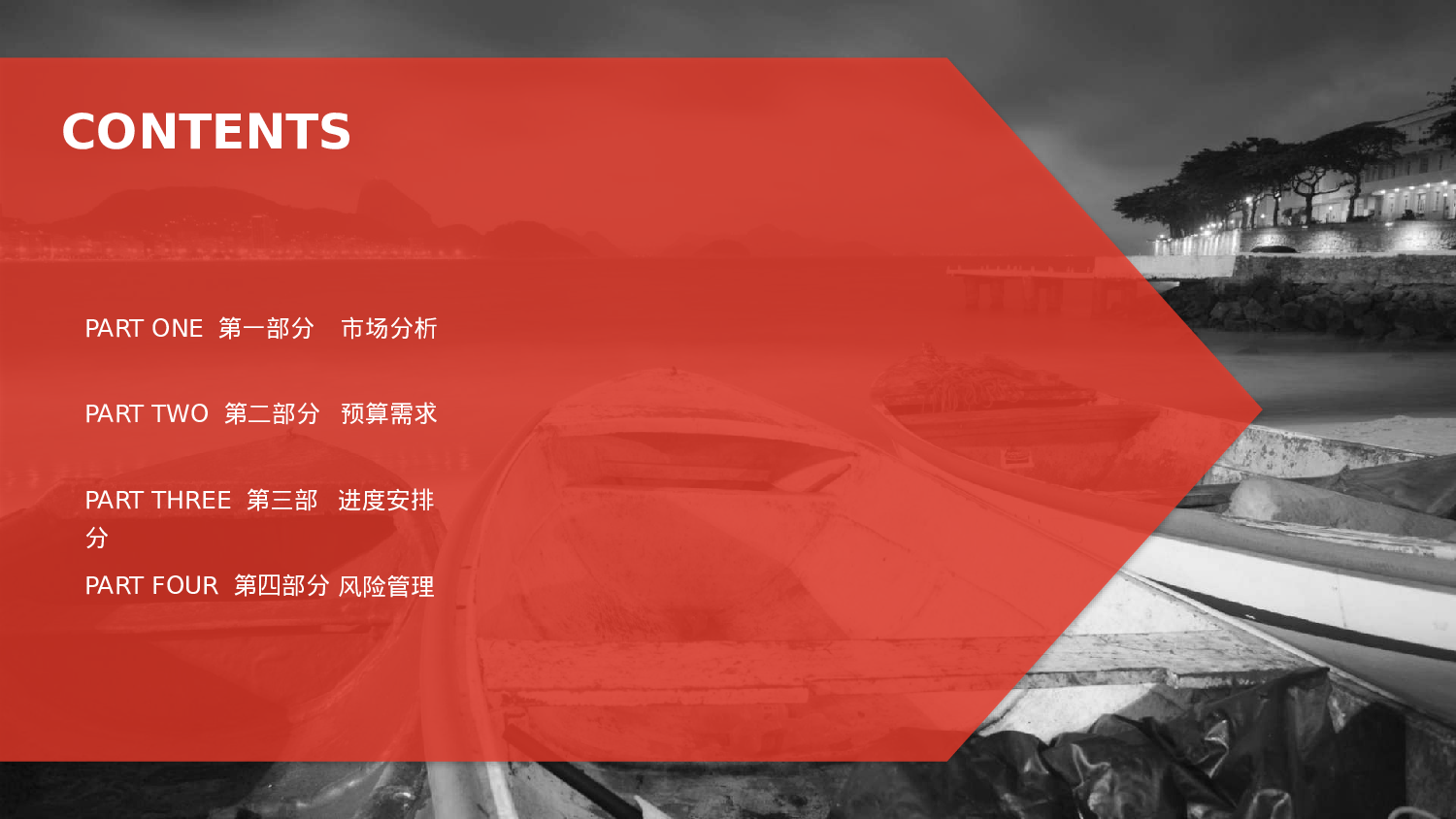 项目策划(01)[289].pptx 第2页