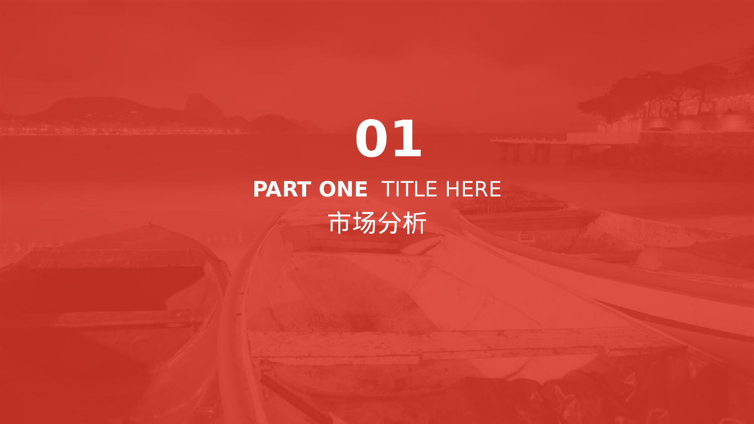 项目策划(01)[289].pptx 第3页