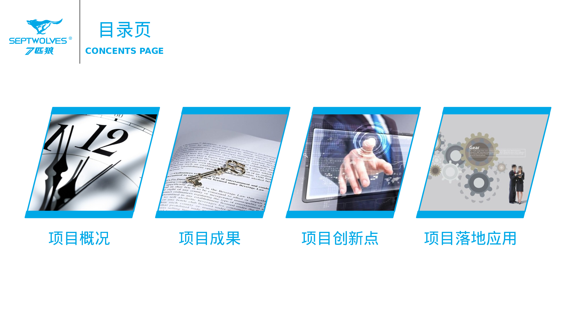 项目策划(04)[292].pptx 第2页