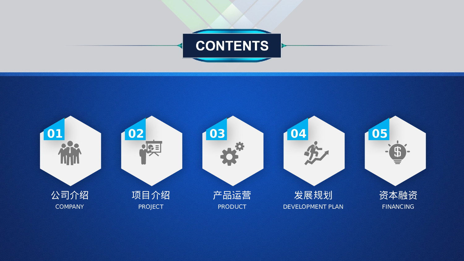 项目策划(05)[293].pptx 第2页