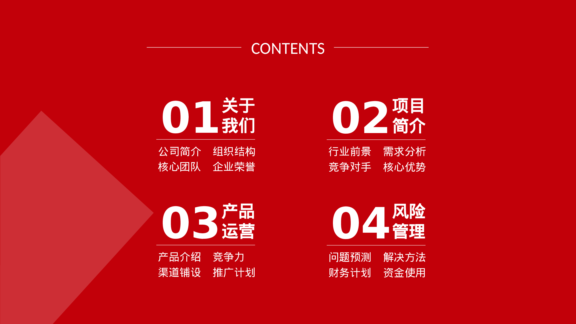 项目策划(12)[300].pptx 第2页