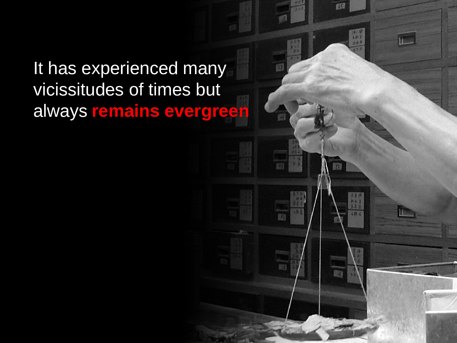 【yy】-医疗护士37.pptx 第4页